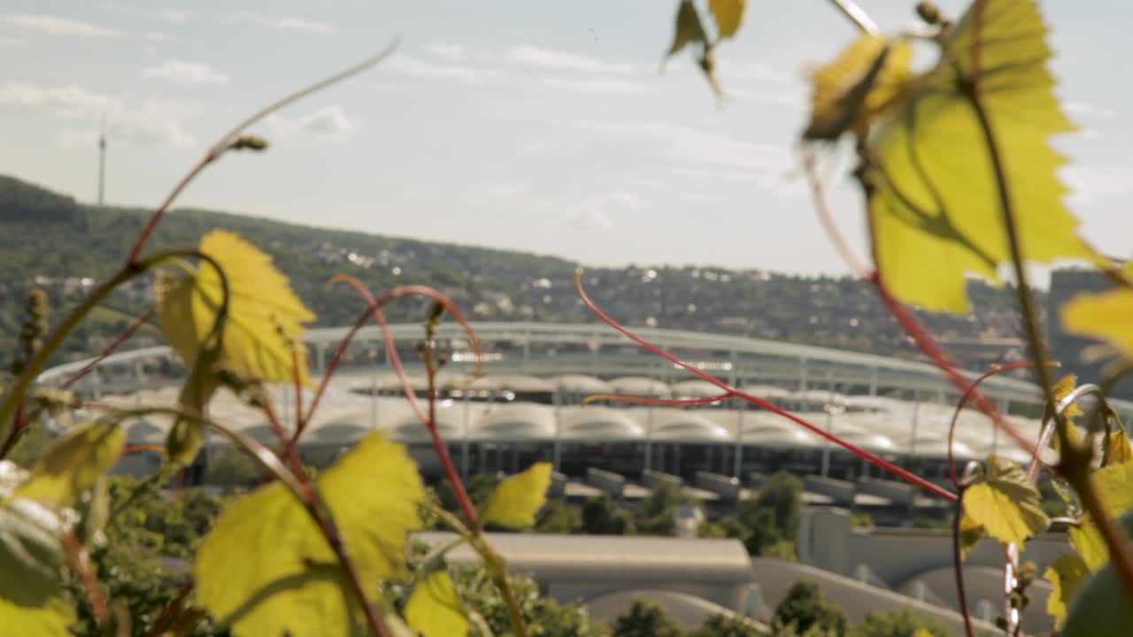 Leaves sway as the Mercedes-Benz Arena comes into focus in the background