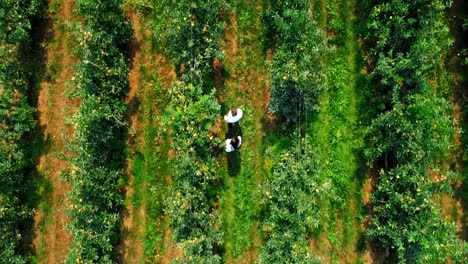 couple farming in the green farm 4k