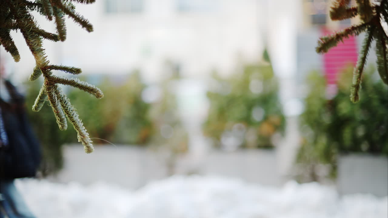 Out of focus background video of people walking in the city in winter season. Fir tree branches on foreground