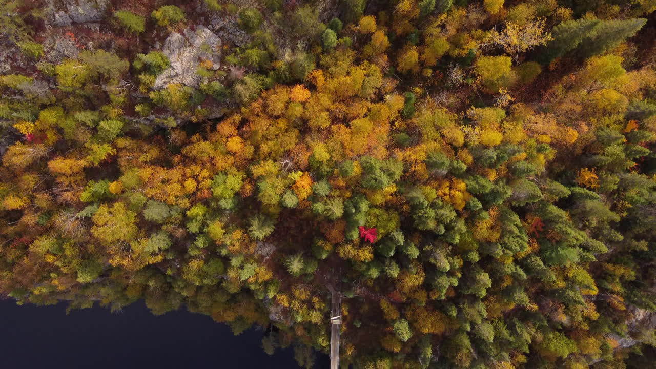 мужчина переходит через подвесной мост в национальном парке айгебель