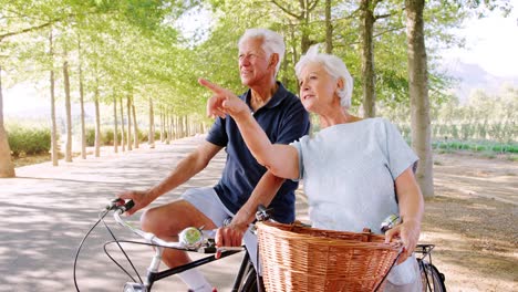 senior white couple sitting on bikes admiring the view