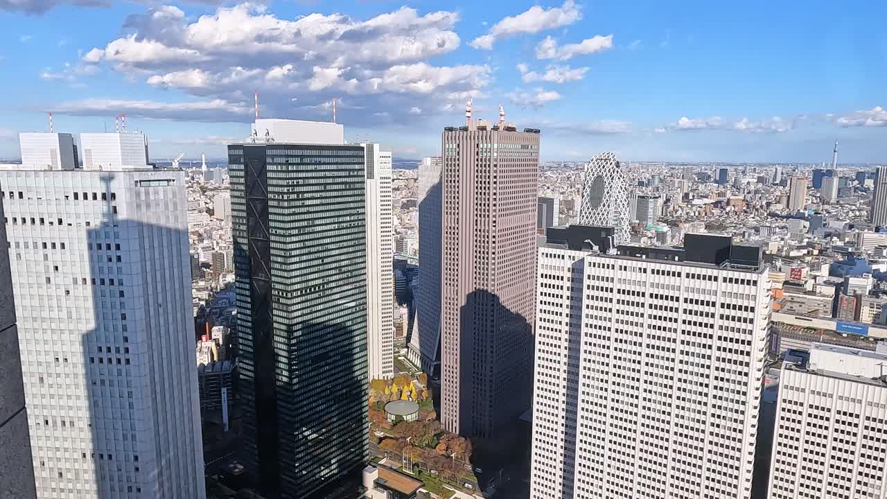 푸른 하늘의 날에 도쿄의 끝없는 스카이라인 위의 전망
