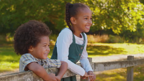 two smiling children climbing on fence on walk in summer countryside