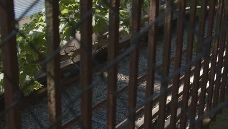 subway train passes on far track from above viewed through a fence on an afternoon in brooklyn, new york