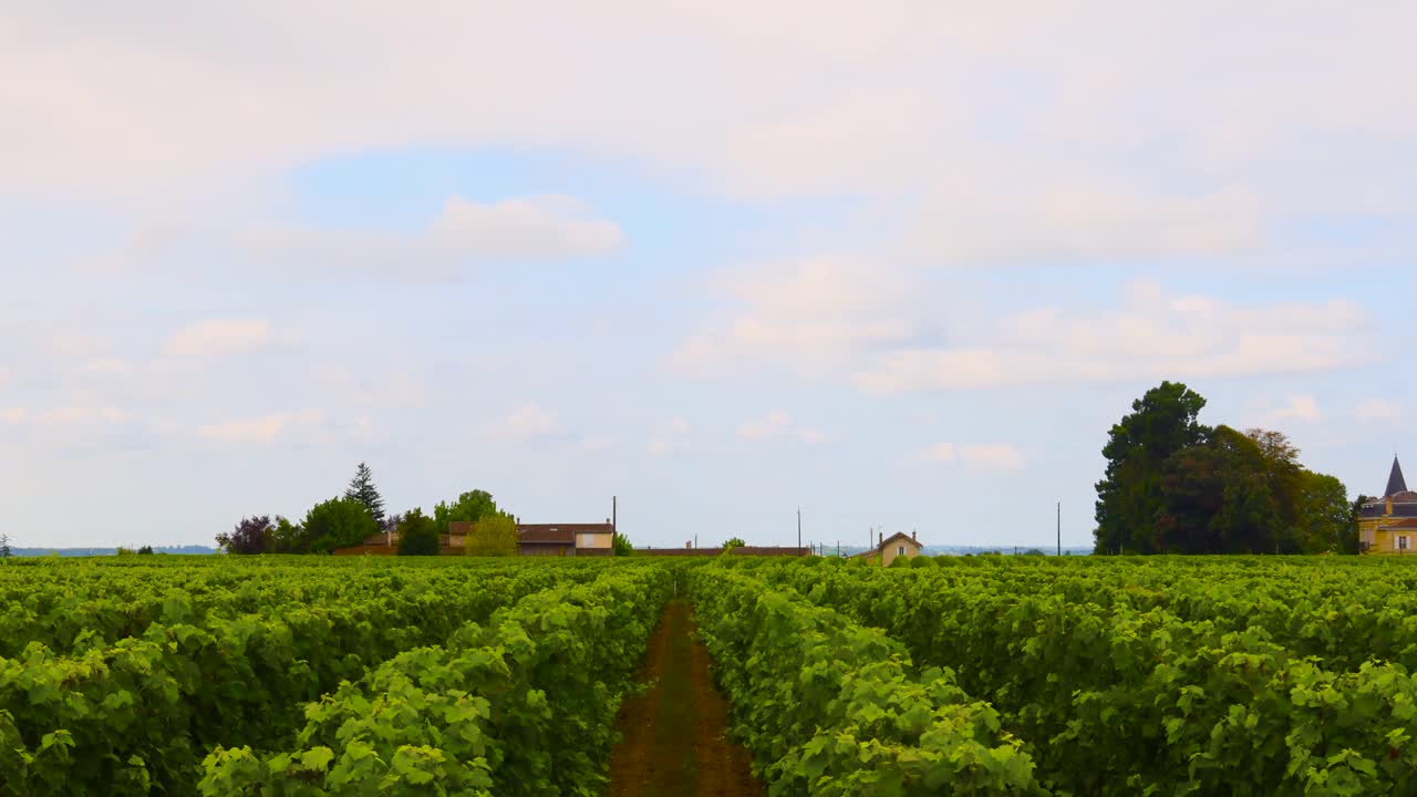 프랑스의 변화하는 하늘 아래의 포도의 타임스