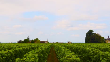 timelapse of vineyard under changing sky in france