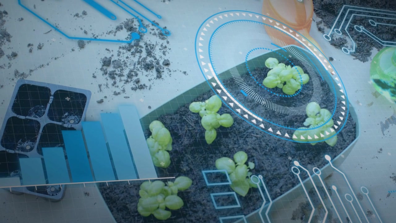 Planter with six seedlings receiving HUD overlay after sensor activation, scanning health graphs