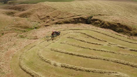 Tractor-creating-windrowing-narrow-lines-with-raking-machine,-farm-land,-aerial