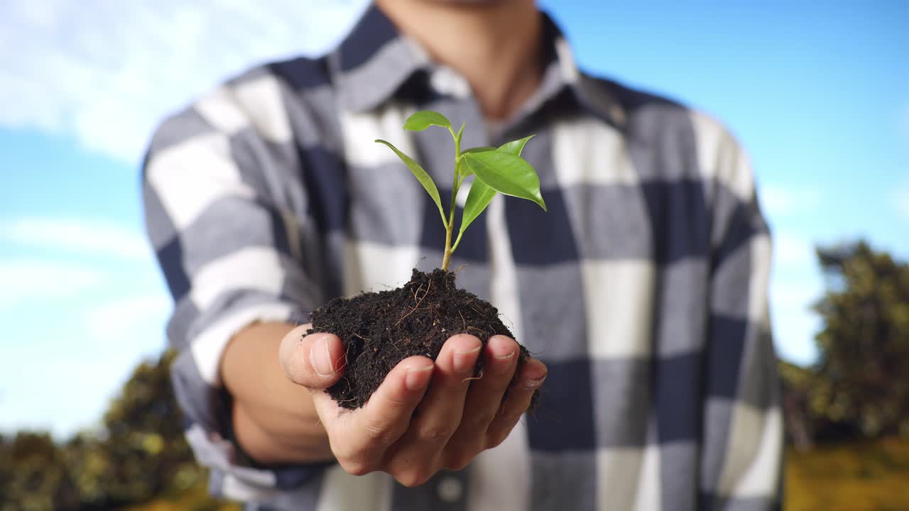 close-up de un granjero masculino mostrando barro de tierra negra con un brote de árbol en la mano a la cámara en el bosque
