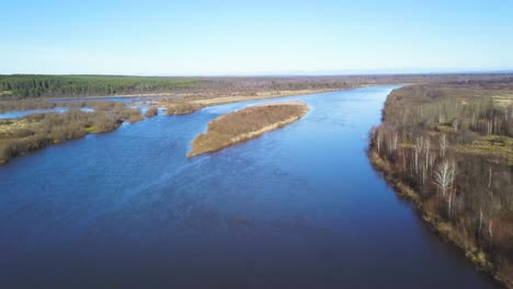 aerial view of a winding river and surrounding forest