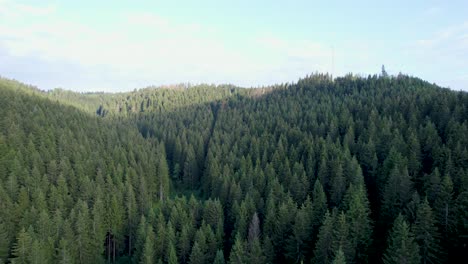 Green-Forest-in-Harz-mountains,-Germany,-drone-flight