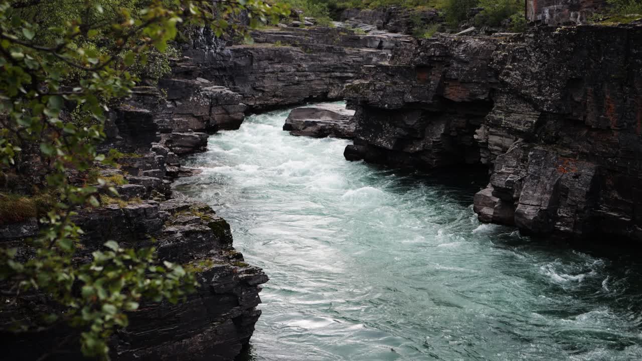 나무 옆에서 본 스웨덴의 강력한 흐르는 강물을 내려다보고 있습니다.