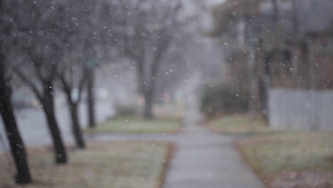 snow falling on sidewalk of neighborhood on cold winter day, out of focus on snow