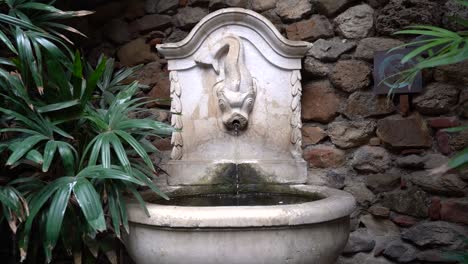 slow motion dolly in towards eerie ancient water fountain with fish