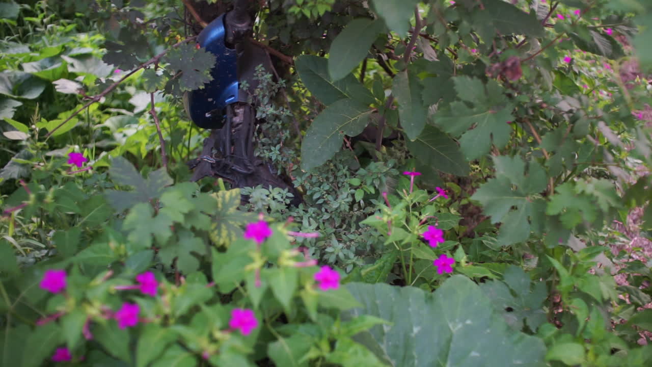 moto vieja abandonada camuflada en planta baja