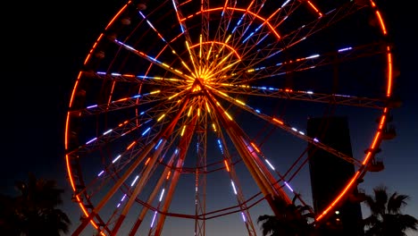 luces de la rueda gigante por la noche y palmeras