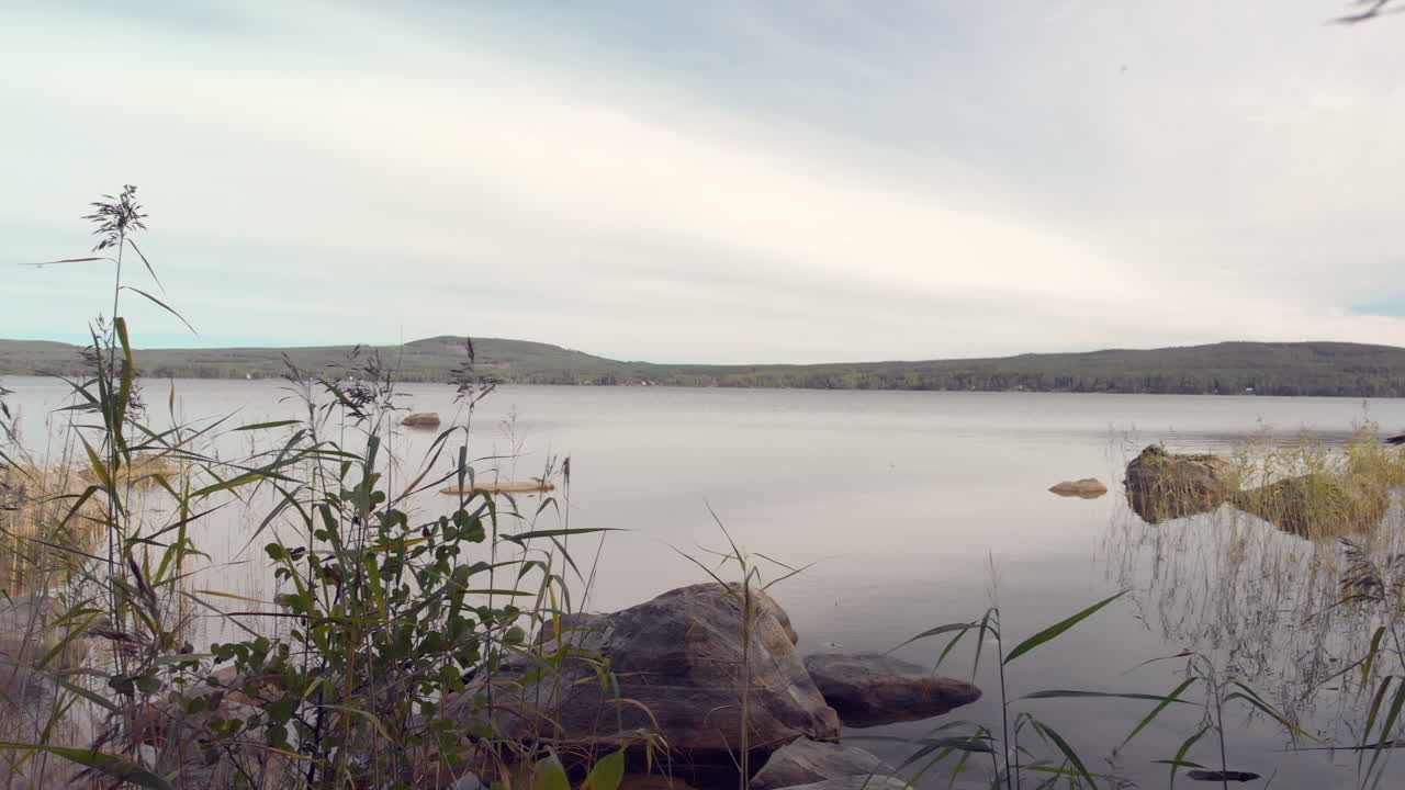 revelando un lago tranquilo y sereno detrás de la hierba marina