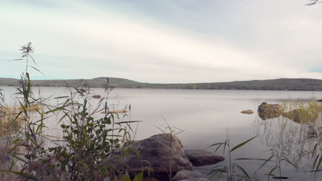 revealing a calm serene lake behind sea grass