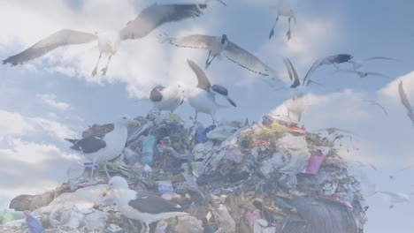 animación de nubes con pájaros volando sobre el sitio de eliminación de residuos