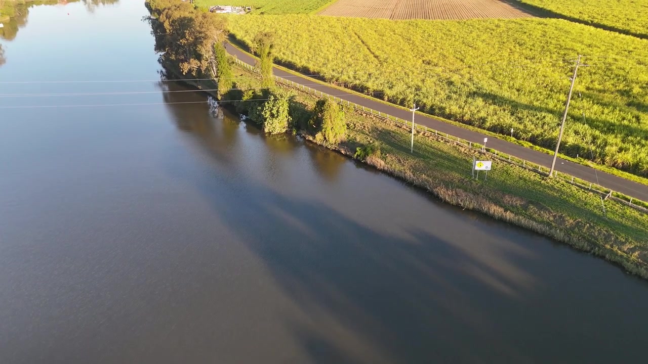 Ripresa aerea con drone di acqua calma del fiume accanto a lussureggianti coltivazioni di canna da zucchero verdi in Australia