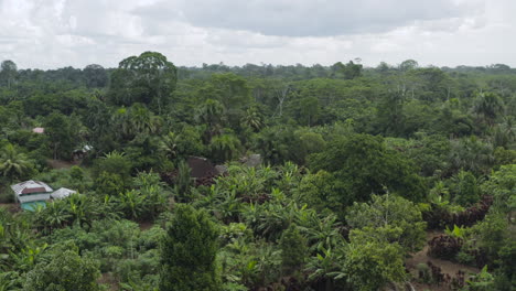 aerial shot, amazon community, ecuador