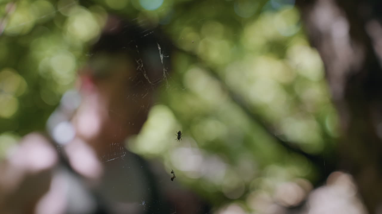 blurred soldier punching through sticky spiderweb obstacle in forest, cobweb strands glistening in sunlight as determined fighter struggles through natural barrier of tangled branches and silk