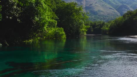 viajar río arriba a lo largo de un pequeño arroyo que corre entre densos árboles verdes y arbustos en una zona montañosa