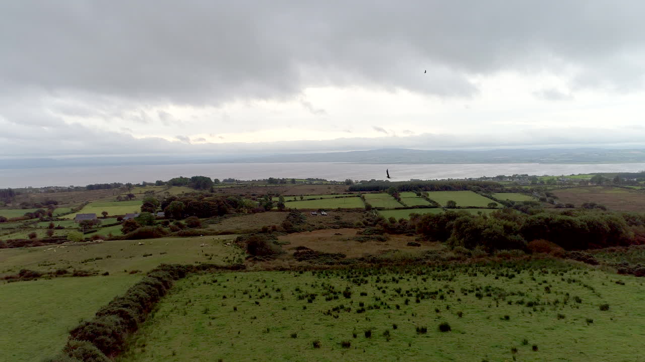 drone inverso disparado sobre un campo verde exuberante con pájaros volando en donegal, irlanda