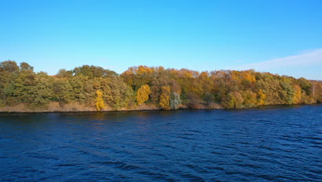 beautiful forest near the lake under clear sky. flight over the blue water on the background of bright autumn trees. natural environment in fall.