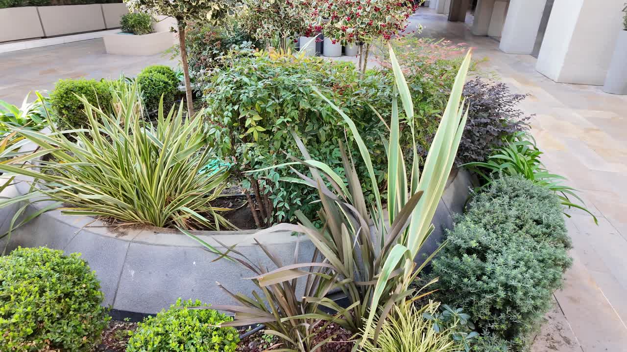 Frodigt grønne planter og buske i et anlagt blomsterbed