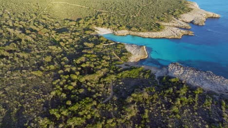 aerial view of son saura beach with clear blue water in menorca spain