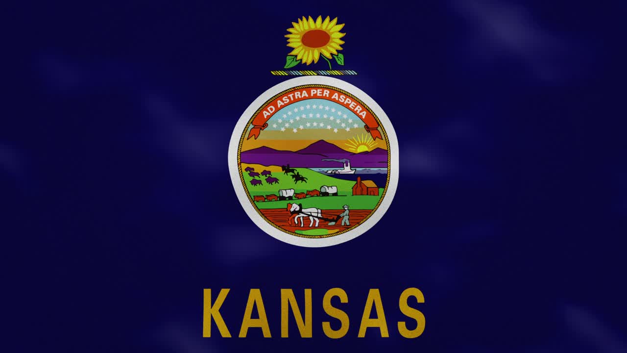 캔자스 발의 밀집된 직물 파동, 배경 루프