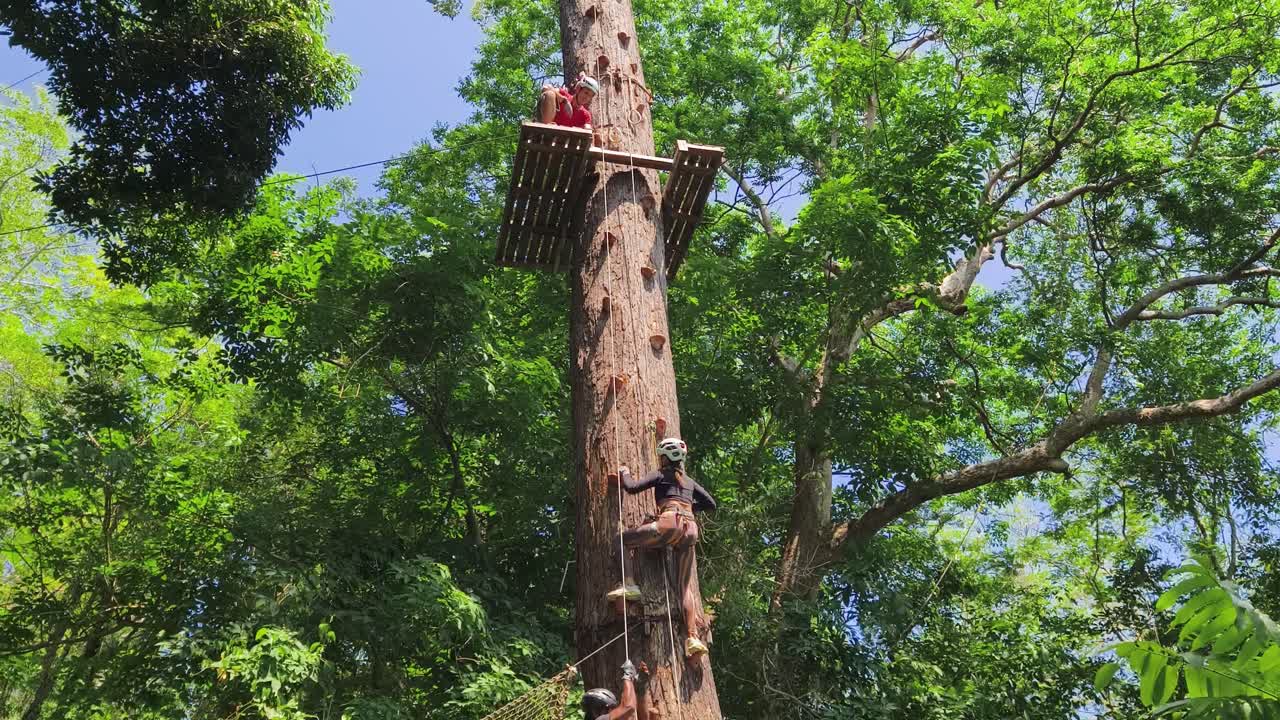 Ziplining Adventure in a Forest