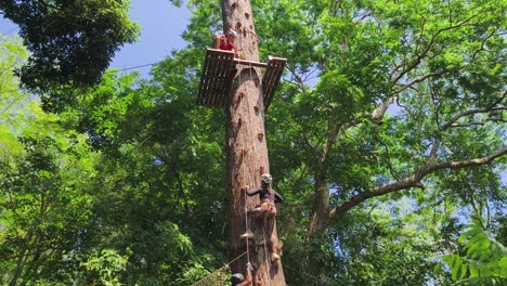 aventura en tirolesa en un bosque