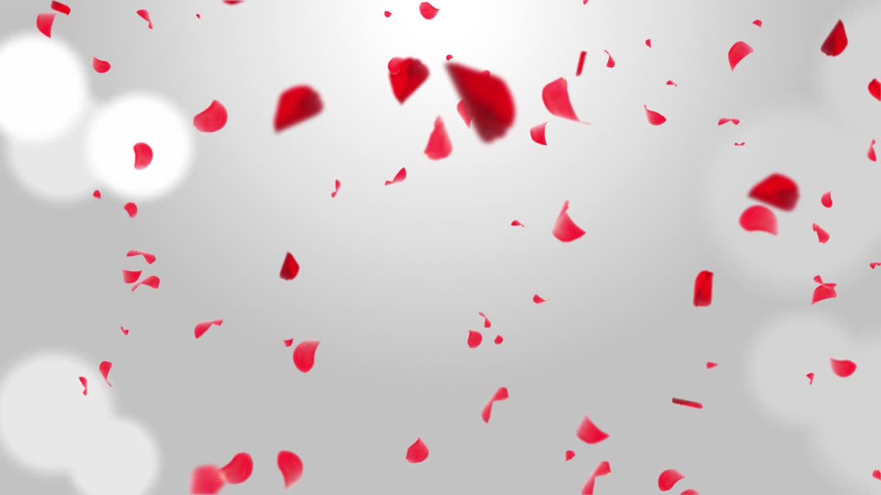 Animazione di petali di rosa in caduta