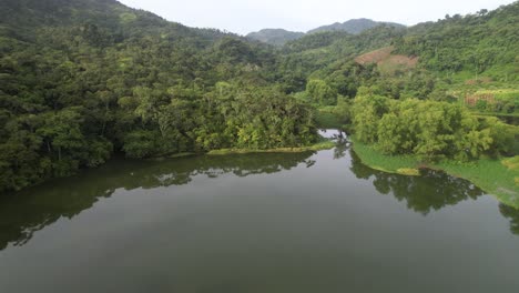 Vista-Aérea-Cinematográfica-Ascendente-Sobre-La-Laguna-Verde-Y-El-Reflejo-De-Los-árboles-De-La-Selva-Forestal