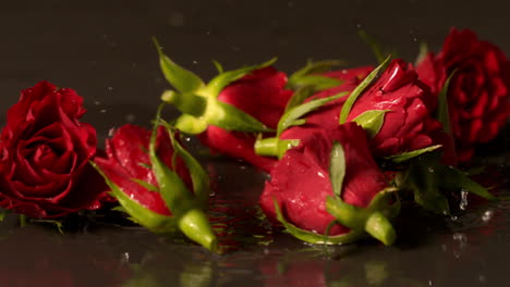 Rose-heads-falling-onto-wet-black-surface