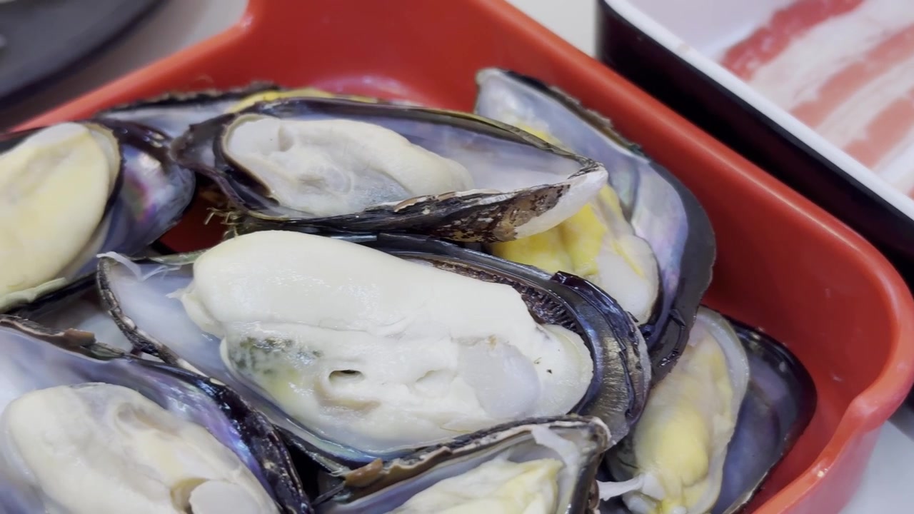 Close-up of fresh mussels arranged on a serving tray, prepared for shabu shabu and hot pot with premium seafood presentation.