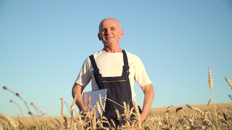 portrait shot of the cheerful caucasian senior man farmer smiling to the camera. farming and agriculture concept