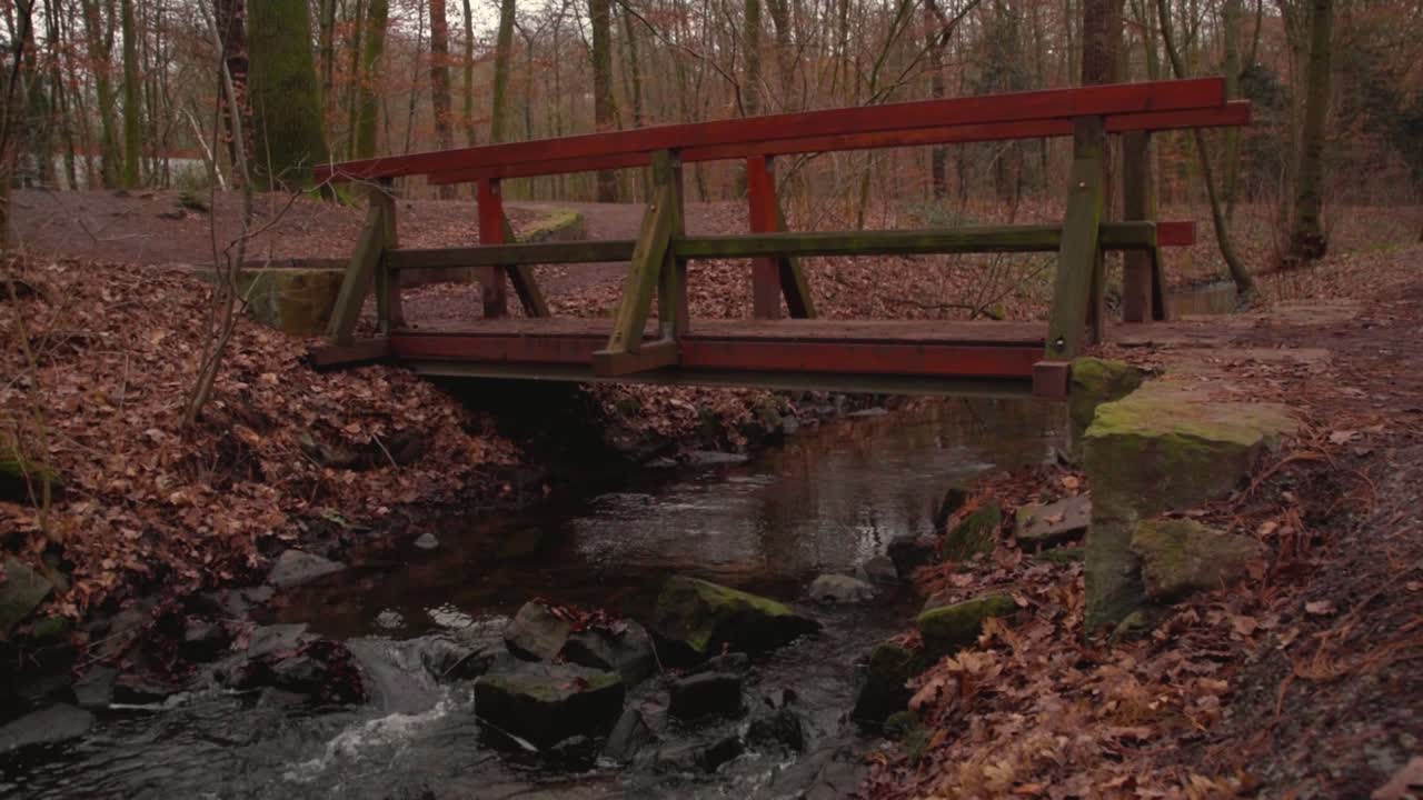 A small wooden bridge in the middle of a forest over a small river that flows peacefully
