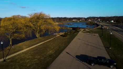 Cool-yellow-tinged-trees-in-Spring