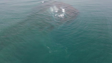 aerial drone shot of turquoise ocean water surface and coral reefs during daytime - bicol, luzon, philippines