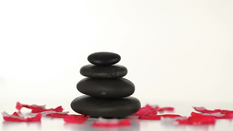 black stones and petals turning