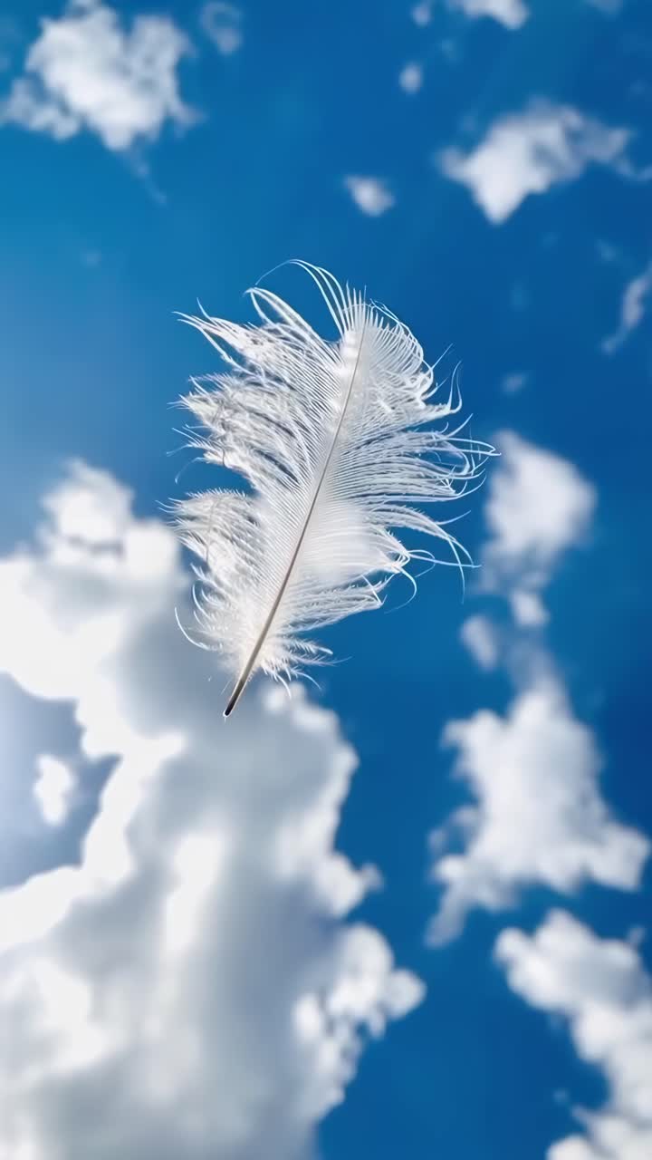 En fin fjer svæver mod en lys blå himmel, fanget fra en lav engel, videostil, Live
