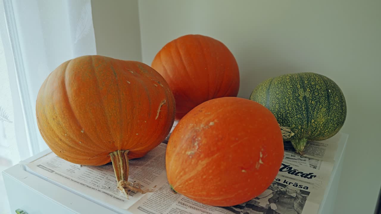 Zucca fresca ad asciugare su carta di giornale, luce dalla finestra dopo il raccolto agricolo