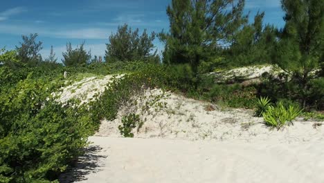 senderos tipo playa que conectan con las playas de la costa sur de bermudas