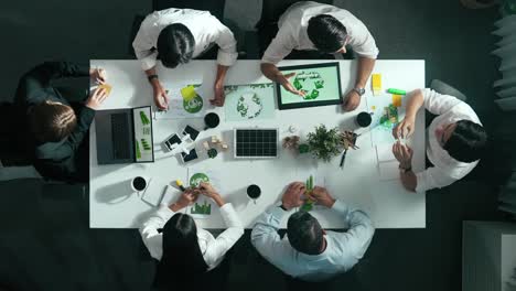 Top-down-view-of-business-team-discuss-about-using-clean-energy.-Alimentation.