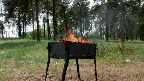 brazier barbecue grill in forest 4k