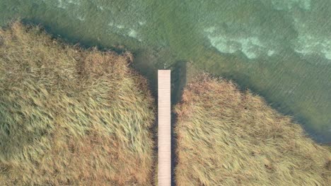 aerial view of a wooden pier with reeds on the side, a small jetty on a calm lake