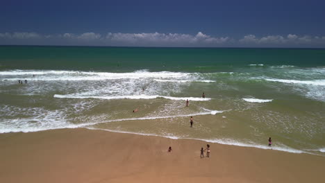drone tilting through palm trees, over a paradise beach, daytime in brazil